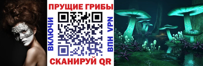 Псилоцибиновые грибы Cubensis  kraken зеркало  Северобайкальск 